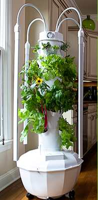 Which Tower Garden to Buy Home